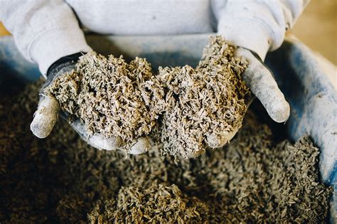  Hempcrete: Een Duurzame Alternative voor Isolatie en Bouwmaterialen!